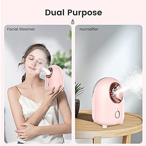 Facial Steamer, QIENSLY 240ML Nano Ionic Face Steamer for Home Face Spa Warm ...