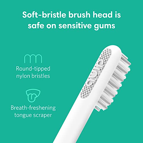 quip Adult Electric Toothbrush - Sonic Toothbrush with Travel Cover & Mirror ...