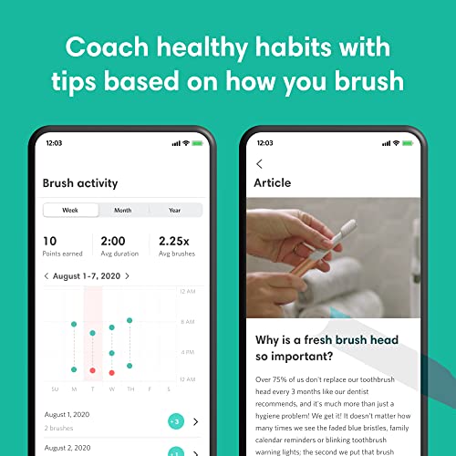 quip Adult Smart Electric Toothbrush - Sonic Toothbrush with Bluetooth & Rewa...