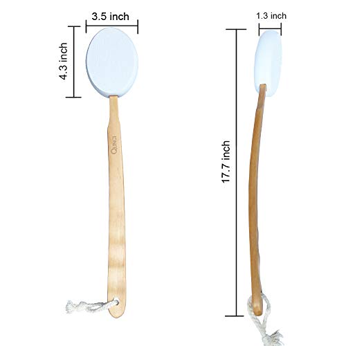 2PCS QUNCI Premium Dry Brushing Body Brush Set- Natural Boar Bristle Long Han...