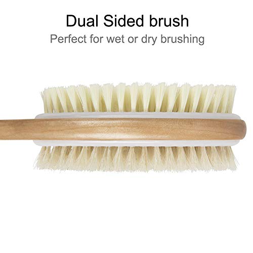 2PCS QUNCI Shower Brush Set - Double-sided Brush Head for Wet or Dry Brushing...