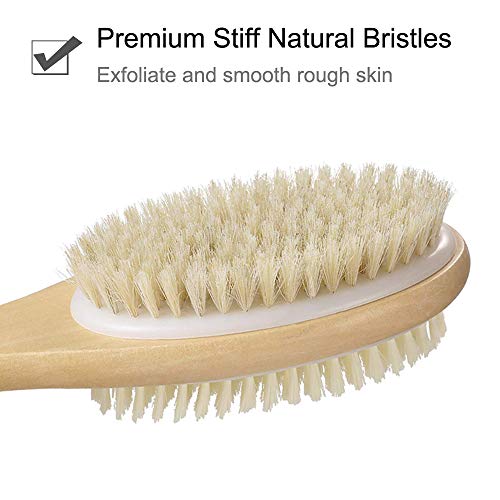 2PCS QUNCI Shower Brush Set - Double-sided Brush Head for Wet or Dry Brushing...