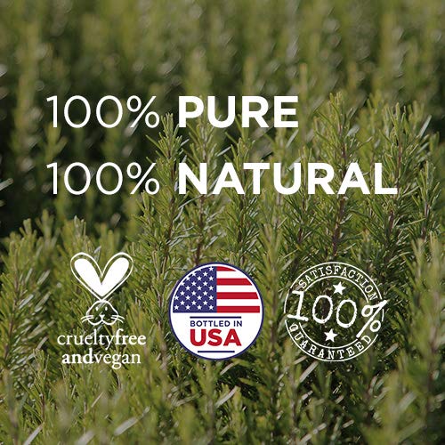 Radha Beauty Aromatherapy Top 8 Essential Oils 100% Pure & Therapeutic Grade ...