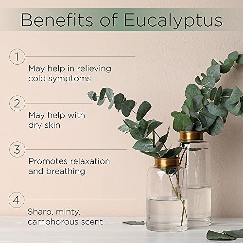Radha Beauty Eucalyptus Essential Oil 4 oz - 100% Pure & Therapeutic Grade, S...