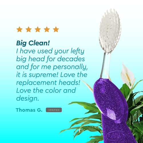 RADIUS Big Brush BPA Free & ADA Accepted Toothbrush Designed to Improve Gum H...