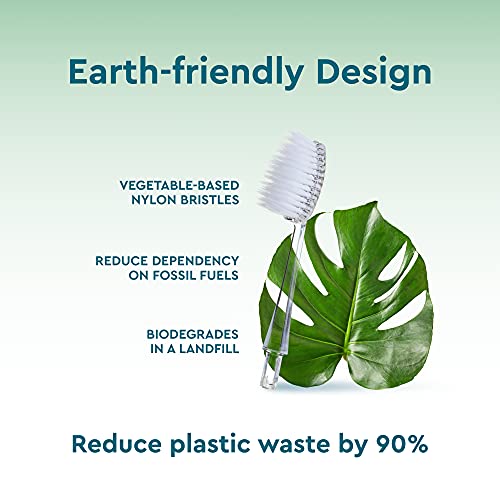 RADIUS Toothbrush Replacement Brush Heads 2-Count Improve Gum Health & Reduce...