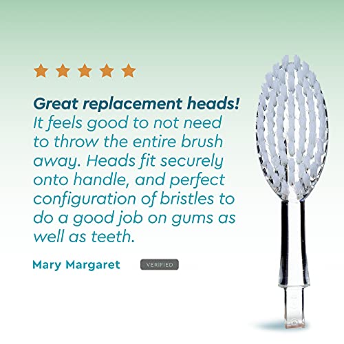RADIUS Toothbrush Replacement Brush Heads 2-Count Improve Gum Health & Reduce...