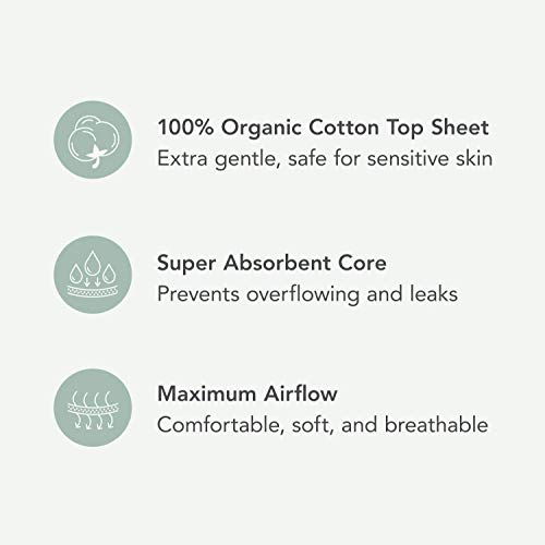 Rael Period Essential Value Set - Organic Cotton Cover Regular & Overnight Pa...