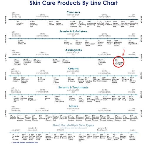 RAYA Aloe Cucumber Astringent 6 oz (202) | Gentle Pore Tightening and Smoothi...