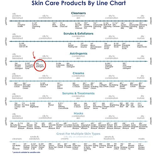 RAYA Camphor Astringent 6 oz (204) | Effective Facial Toner for Oily and Brea...