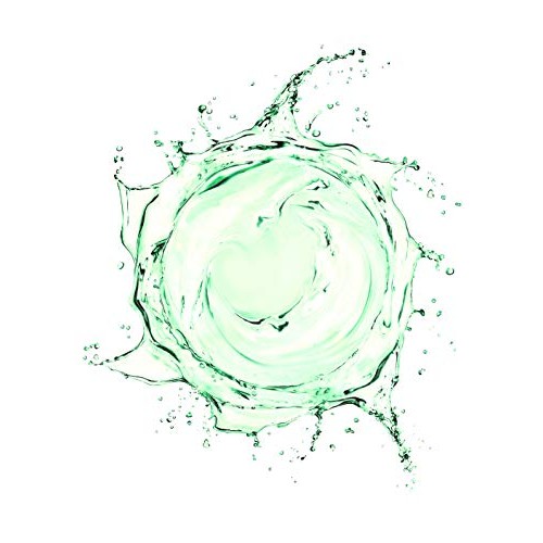 RAYA Camphor Astringent 6 oz (204) | Effective Facial Toner for Oily and Brea...