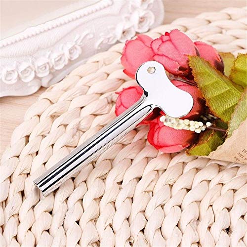 RAYNAG 5 Pieces Metal Tube Roller, Toothpaste Tube Squeezer Roll-up Key Dispe...