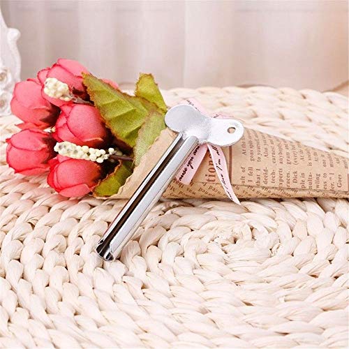 RAYNAG 5 Pieces Metal Tube Roller, Toothpaste Tube Squeezer Roll-up Key Dispe...