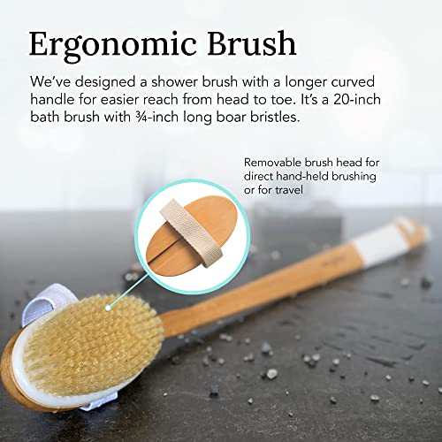 Shower Brush - 20 inch - Long Handle Bath Brush for Exfoliating, Detachable N...