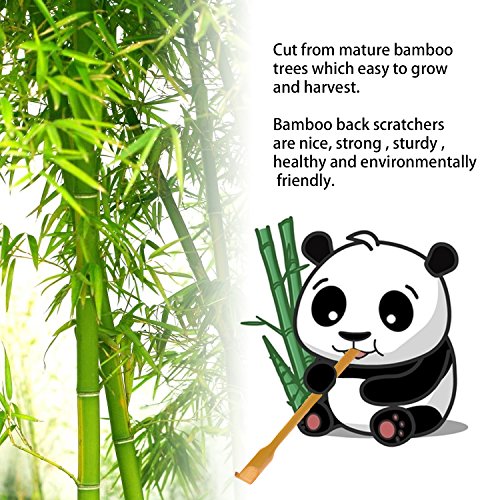 RENOOK Back Scratcher, 2 Piece 17" Natural Strong Sturdy Traditional Bamboo W...