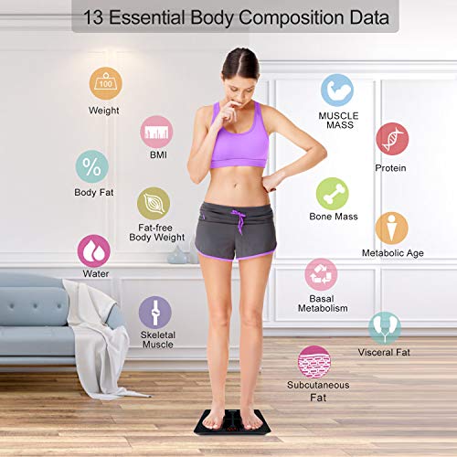 RENPHO Rechargeable Smart Scale Digital Weight and Body Fat USB Weight BMI Sc...