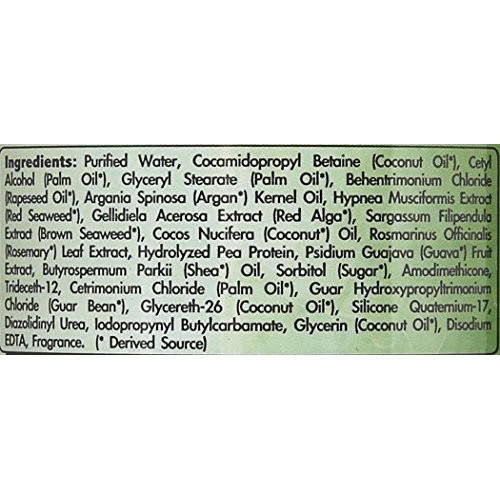 RENPURE solutions cleansing conditioner, Basic, Rosemary Mint, 16 Fl Oz