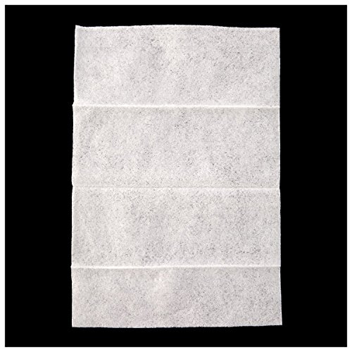 Repel - HG-94100 94100 Insect lent Mosquito Wipes 30% DEET, 15-Count