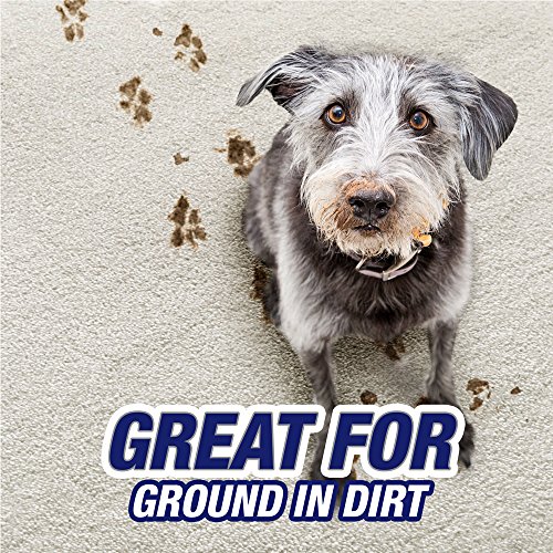 Resolve Carpet Pet High Traffic Foam, 22-Ounce