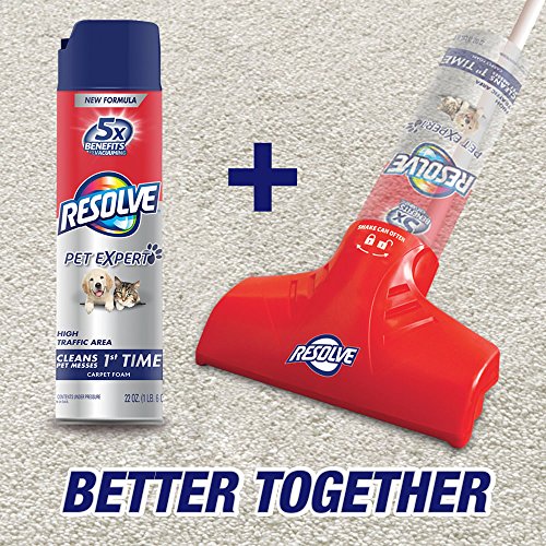 Resolve Carpet Pet High Traffic Foam, 22-Ounce