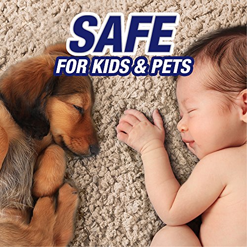 Resolve Carpet Pet High Traffic Foam, 22-Ounce