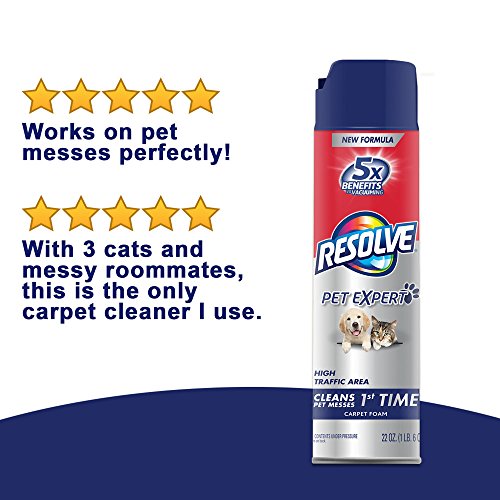 Resolve Carpet Pet High Traffic Foam, 22-Ounce
