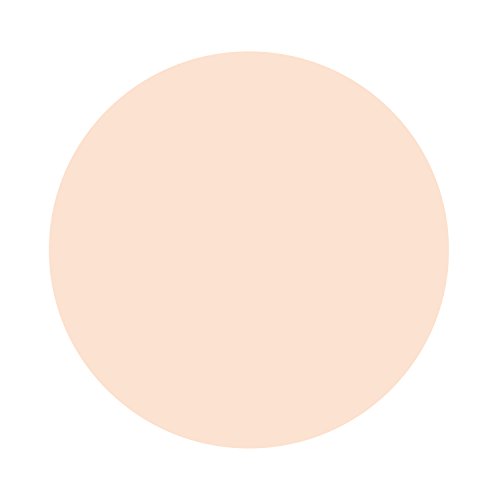 Foundation by Revlon, New Complexion One-Step Face Makeup, Longwear Light Cov...