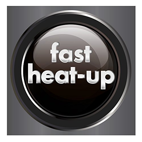 Revlon Ceramic Flat Iron for Ultra Straight Hair, 3/4 Inch