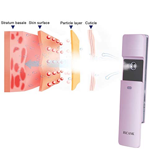 RICANK Facial Nano Mister Handy Mist Spray Steamer Face Sprayer Rechargeable ...