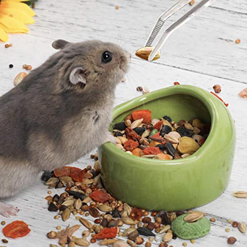 Stainless Steel Tweezers, with Curved Serrated Tip Multipurpose Tweezers Sewi...