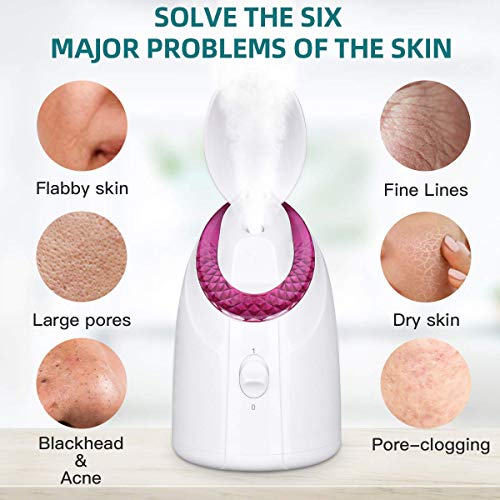 Facial Steamer, RUEOO Nano Hot Steam Face Spa Device Ionic Face Steaming Mach...