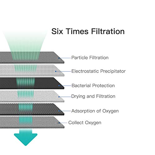 SaaQee 1-2L for Car Use, Portable Wellness Machine with a 12V Output Recharge...