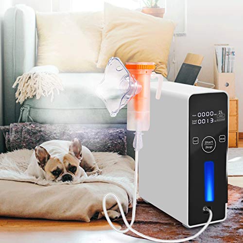 SaaQee 1-2L for Car Use, Portable Wellness Machine with a 12V Output Recharge...