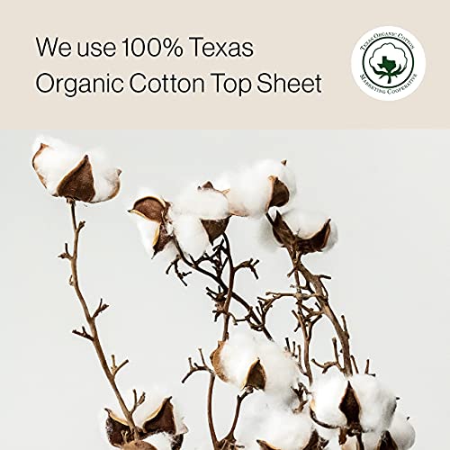 SANDIS Panty Liners for Women - 36 Count 100% Organic Cotton Ultra Thin for P...