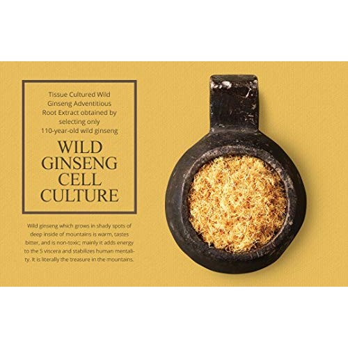 Wild Ginseng Snail Cream Set