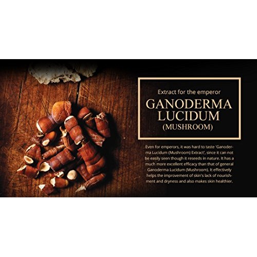 Wild Ginseng Snail Cream Set