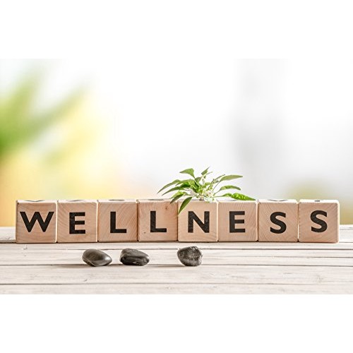 Santamedical Adult Deluxe Aneroid Sphygmomanometer with Stethoscope, Cuff and...