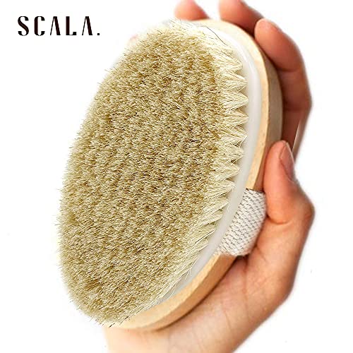 Wet and Dry Body Brush Exfoliator - Soft Bristle Brush Naturally Exfoliates D...