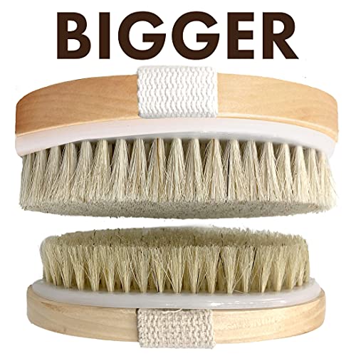 Wet and Dry Body Brush Exfoliator - Soft Bristle Brush Naturally Exfoliates D...