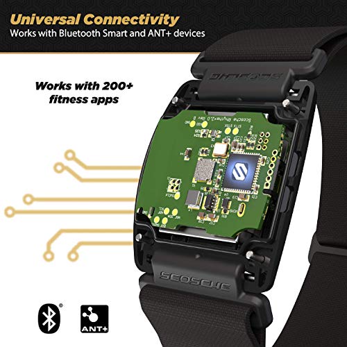 Rhythm+2.0 Waterproof Heart Rate Monitor Armband - Optical Heart Rate Armband...