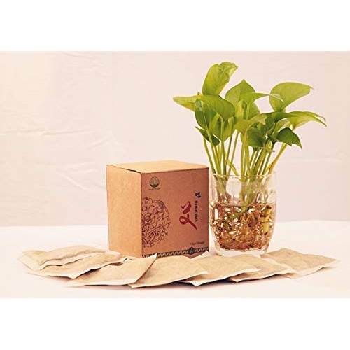 Mugwort Herbal Bath Soak Chinese Medicinal Herbs Foot Soak Bath Therapy For M...