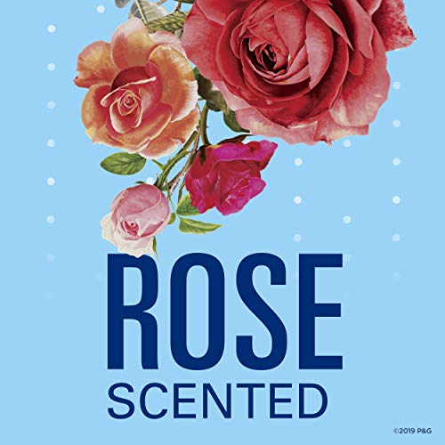 Secret Invisible Solid Antiperspirant and Deodorant, Rose Scent, 2.6 oz