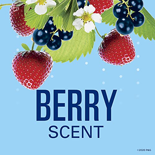 Secret Refreshing Berry, Twin Pack of 2.6oz, Packaging May Vary