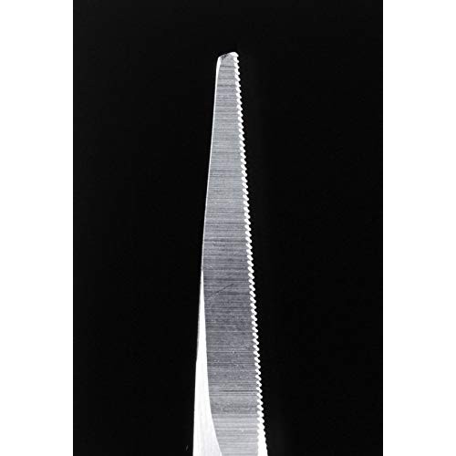 Seki Edge Stainless Steel Scissors SS 902