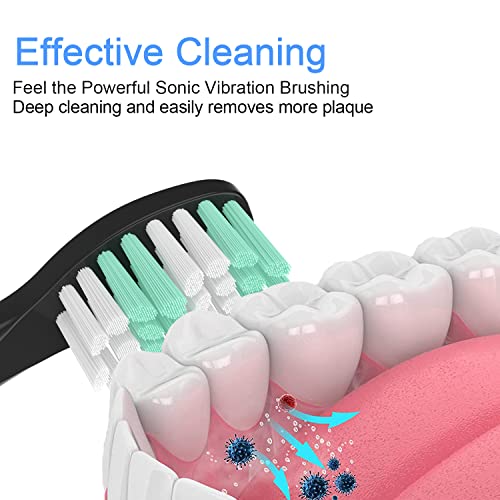 10 Pack Replacement Heads Compatible with Fairywill Toothbrush Heads Electric...