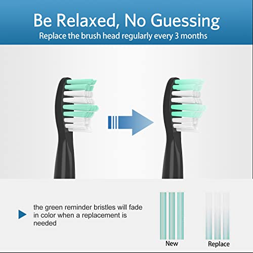 10 Pack Replacement Heads Compatible with Fairywill Toothbrush Heads Electric...