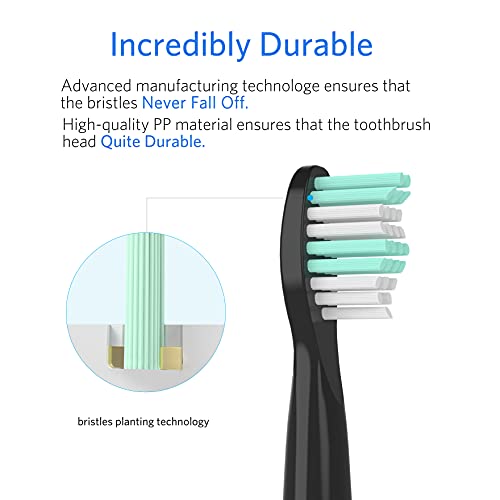 10 Pack Replacement Heads Compatible with Fairywill Toothbrush Heads Electric...