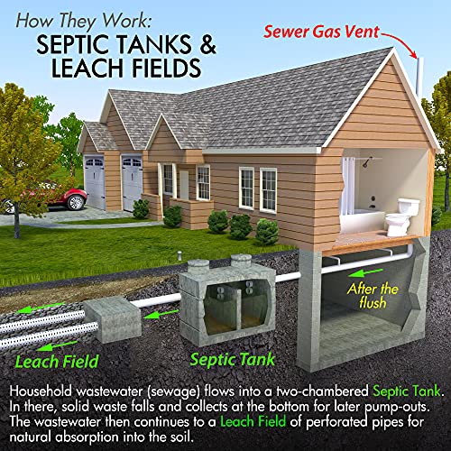 Septi-Flow | Septic System Shock Repair- Clears Drainfields, Dissolves Deadpa...