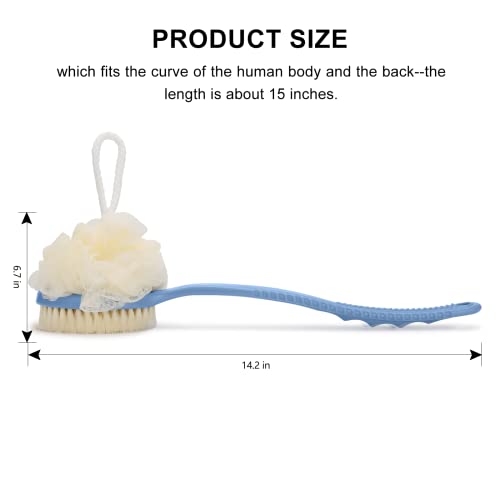 SetSail Shower Body Brush with Bristles and Loofah, Body Scrubber with Long H...