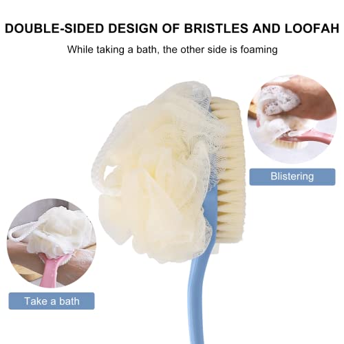 SetSail Shower Body Brush with Bristles and Loofah, Body Scrubber with Long H...